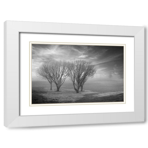 Coastal Oak Series No. 42 White Modern Wood Framed Art Print with Double Matting by Blaustein, Alan