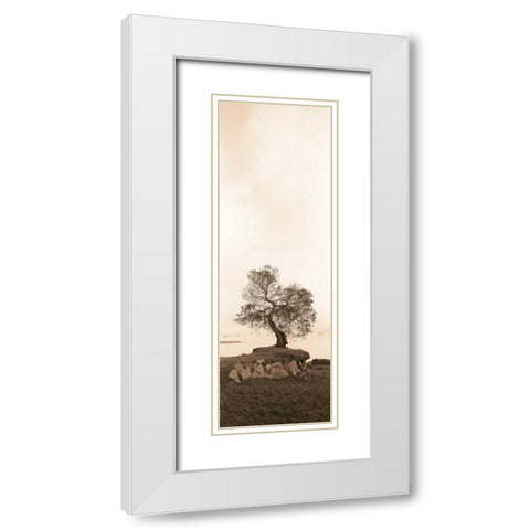 Coast Oak White Modern Wood Framed Art Print with Double Matting by Blaustein, Alan