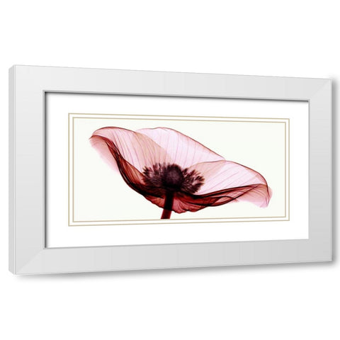 Anemone I White Modern Wood Framed Art Print with Double Matting by Coop, Robert