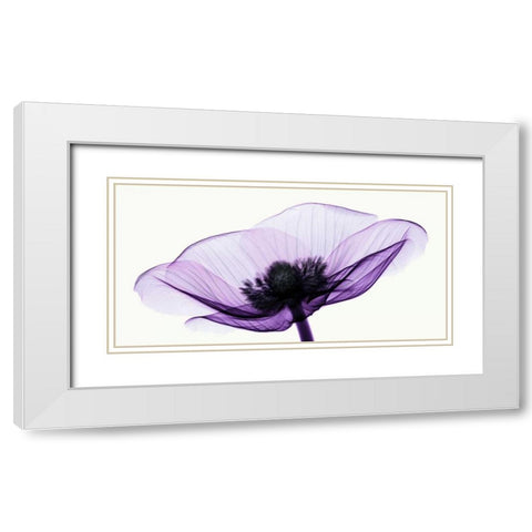 Anemone II White Modern Wood Framed Art Print with Double Matting by Coop, Robert