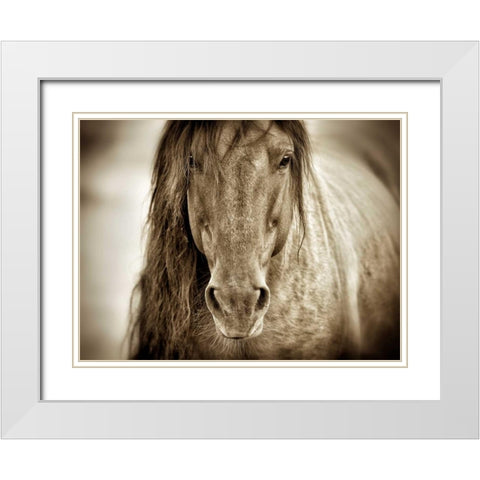 Mustang Sally White Modern Wood Framed Art Print with Double Matting by Dearing, Lisa