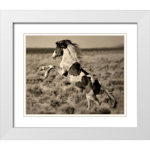Wild Painted Pony White Modern Wood Framed Art Print with Double Matting by Dearing, Lisa
