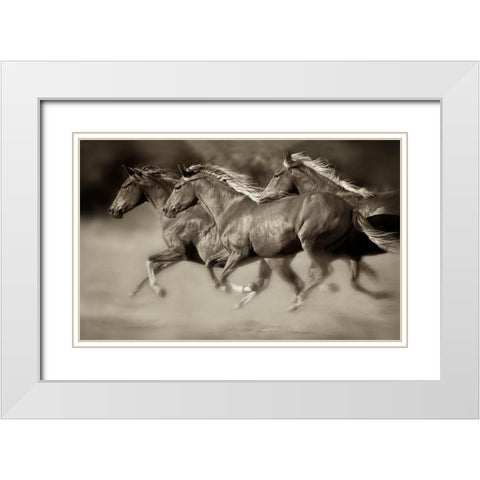 Wind Runners White Modern Wood Framed Art Print with Double Matting by Dearing, Lisa
