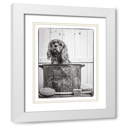 Vintage Puppy Bath White Modern Wood Framed Art Print with Double Matting by Fielding, Edward M.