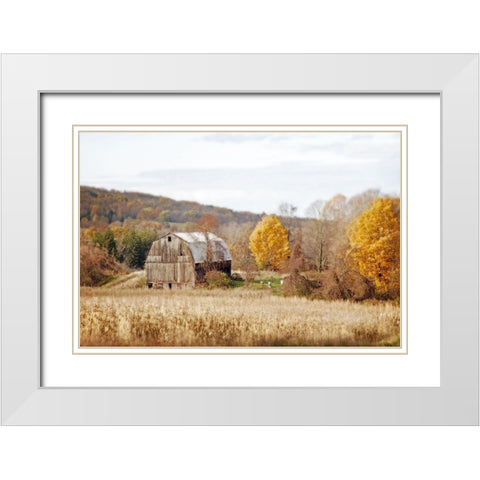 Barn And Beehives White Modern Wood Framed Art Print with Double Matting by Ryan, Brooke T.