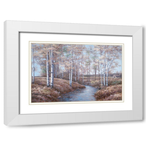 Birch Creek White Modern Wood Framed Art Print with Double Matting by Romanello, Diane