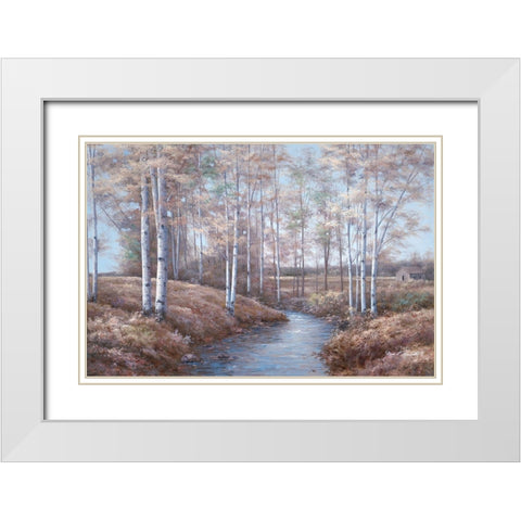 Birch Creek White Modern Wood Framed Art Print with Double Matting by Romanello, Diane