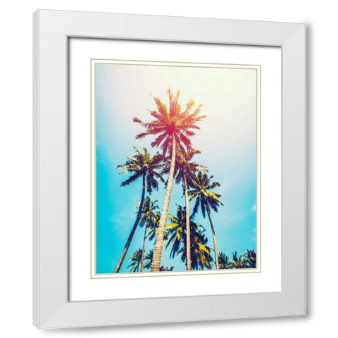 Palms in the Sun White Modern Wood Framed Art Print with Double Matting by Tai Prints