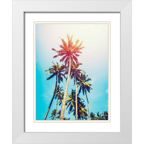 Palms in the Sun White Modern Wood Framed Art Print with Double Matting by Tai Prints