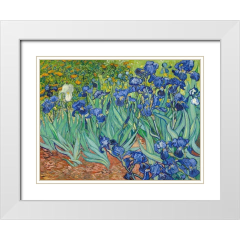 Irises 1889 White Modern Wood Framed Art Print with Double Matting by Van Gogh, Vincent