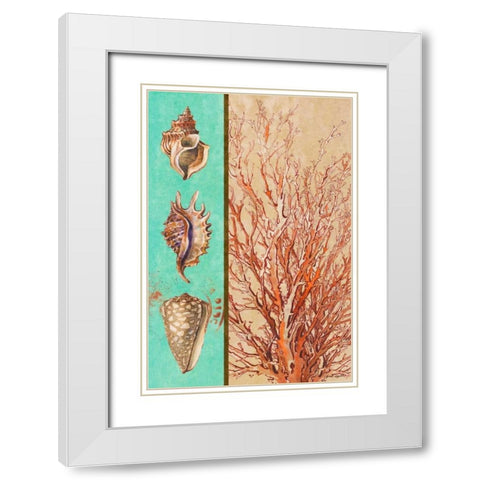 Coral and Sea Shells I White Modern Wood Framed Art Print with Double Matting by Loreth, Lanie