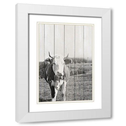 BW Country Cows on Wood White Modern Wood Framed Art Print with Double Matting by Hyler, JB