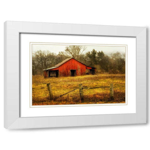 In the Country White Modern Wood Framed Art Print with Double Matting by Amos, Andy