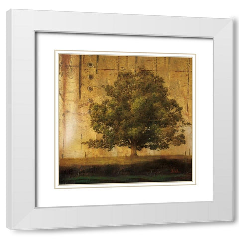 Aged Tree I White Modern Wood Framed Art Print with Double Matting by Pinto, Patricia