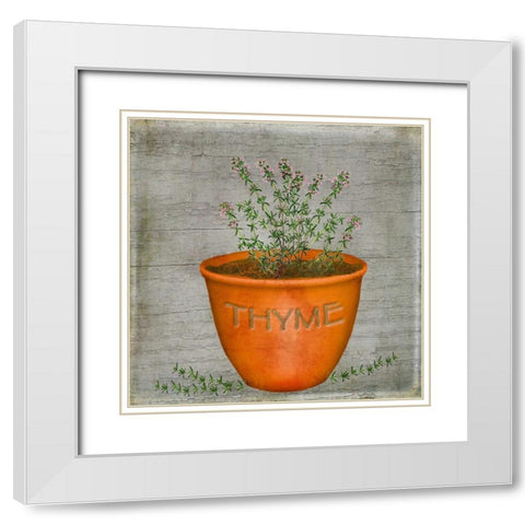 Herb Thyme White Modern Wood Framed Art Print with Double Matting by Albert, Beth