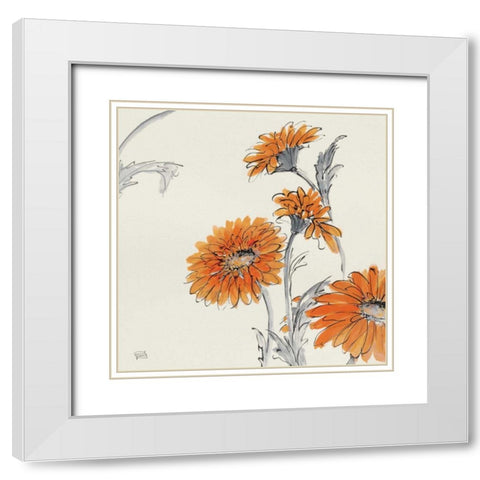 Orange Gerbera I White Modern Wood Framed Art Print with Double Matting by Paschke, Chris