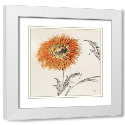 Orange Gerbera III White Modern Wood Framed Art Print with Double Matting by Paschke, Chris