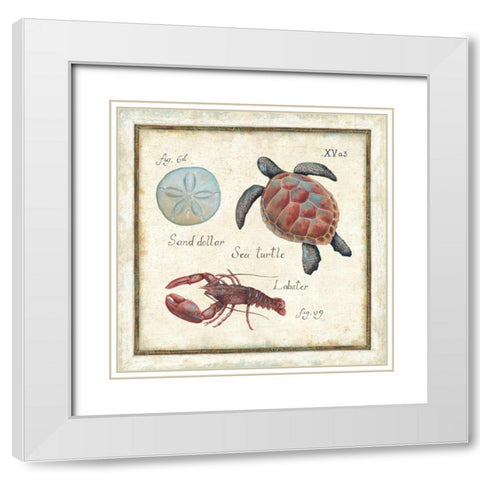 Oceanography II White Modern Wood Framed Art Print with Double Matting by Brissonnet, Daphne