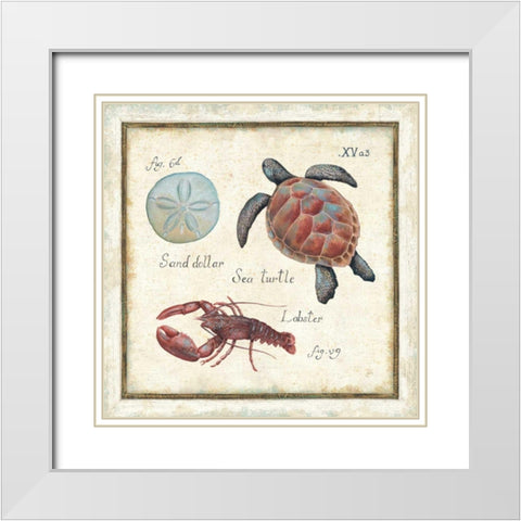 Oceanography II White Modern Wood Framed Art Print with Double Matting by Brissonnet, Daphne