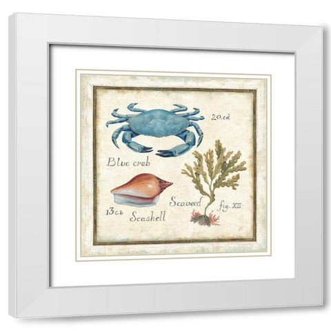 Oceanography IV White Modern Wood Framed Art Print with Double Matting by Brissonnet, Daphne
