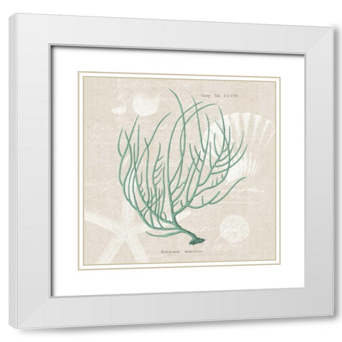 Gorgonia Miniacea White Modern Wood Framed Art Print with Double Matting by Wild Apple Portfolio