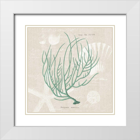 Gorgonia Miniacea White Modern Wood Framed Art Print with Double Matting by Wild Apple Portfolio