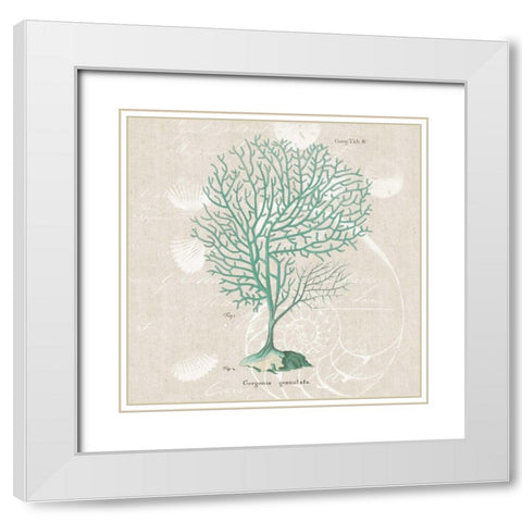 Gorgonia Granulata White Modern Wood Framed Art Print with Double Matting by Wild Apple Portfolio
