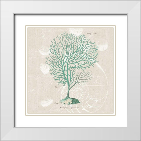 Gorgonia Granulata White Modern Wood Framed Art Print with Double Matting by Wild Apple Portfolio