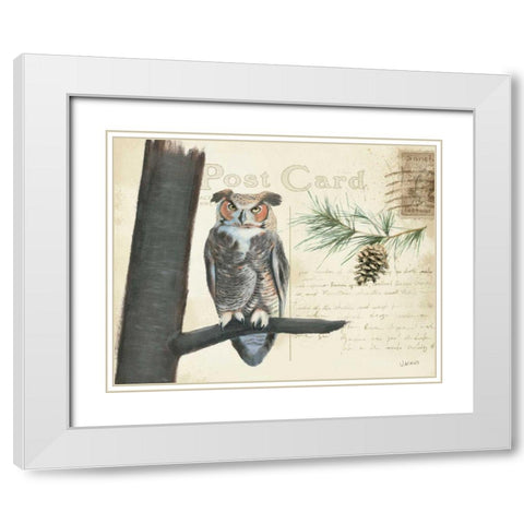 Northern Wild V White Modern Wood Framed Art Print with Double Matting by Wiens, James