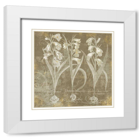 Flower Lines I White Modern Wood Framed Art Print with Double Matting by Schlabach, Sue