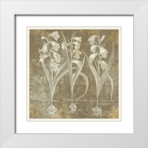 Flower Lines I White Modern Wood Framed Art Print with Double Matting by Schlabach, Sue