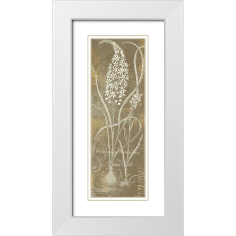 Flower Lines III White Modern Wood Framed Art Print with Double Matting by Schlabach, Sue