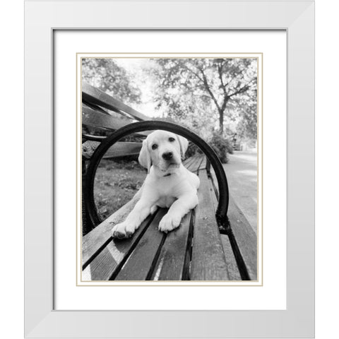 Never Doubt That You Can White Modern Wood Framed Art Print with Double Matting by Dratfield, Jim