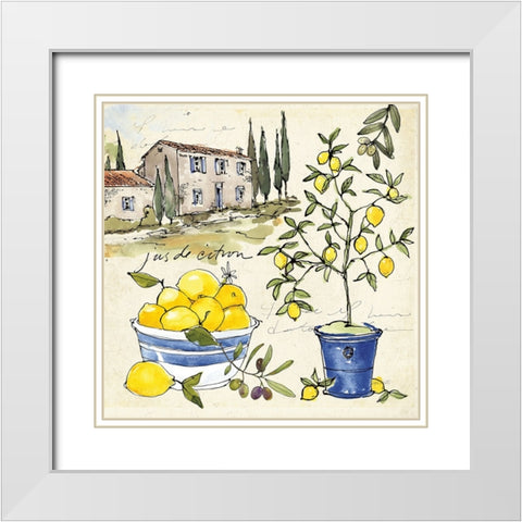 Citron III White Modern Wood Framed Art Print with Double Matting by Tavoletti, Anne