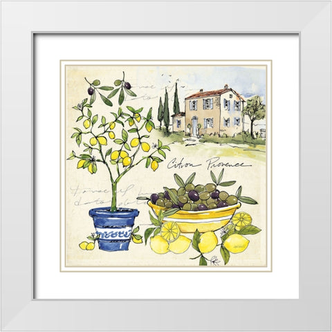 Citron IV White Modern Wood Framed Art Print with Double Matting by Tavoletti, Anne