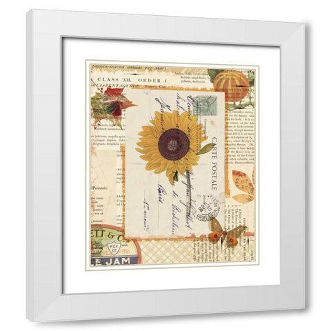 Falling for Fall II White Modern Wood Framed Art Print with Double Matting by Pertiet, Katie