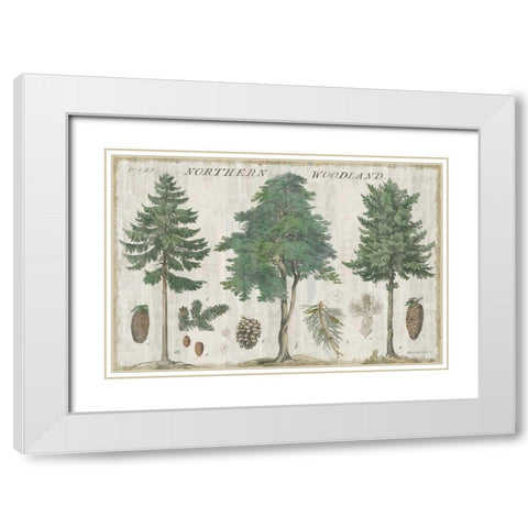 Woodland Chart I White Modern Wood Framed Art Print with Double Matting by Schlabach, Sue