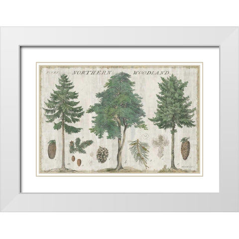 Woodland Chart I White Modern Wood Framed Art Print with Double Matting by Schlabach, Sue