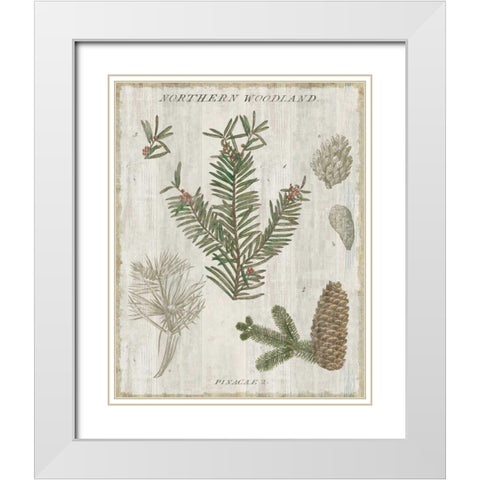 Woodland Chart II White Modern Wood Framed Art Print with Double Matting by Schlabach, Sue