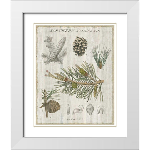 Woodland Chart III White Modern Wood Framed Art Print with Double Matting by Schlabach, Sue