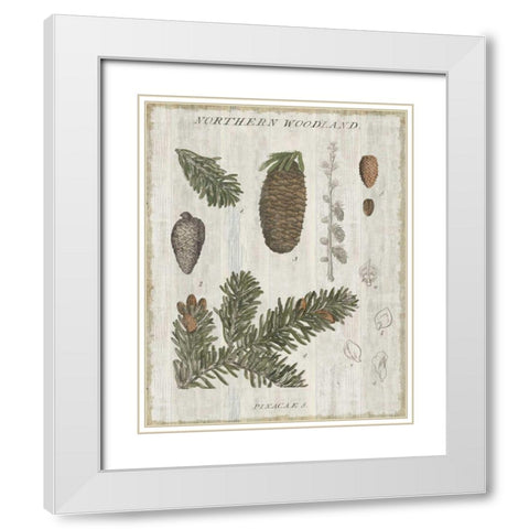 Woodland Chart IV White Modern Wood Framed Art Print with Double Matting by Schlabach, Sue