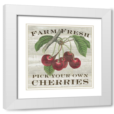 Farm Fresh Cherries White Modern Wood Framed Art Print with Double Matting by Schlabach, Sue