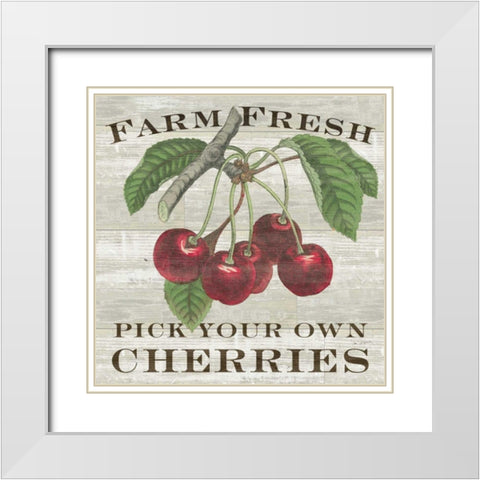 Farm Fresh Cherries White Modern Wood Framed Art Print with Double Matting by Schlabach, Sue