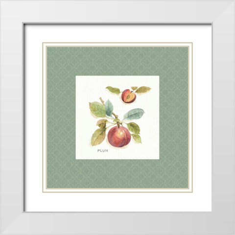 Orchard Bloom IV Border White Modern Wood Framed Art Print with Double Matting by Audit, Lisa
