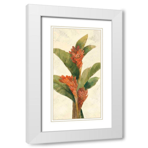 Ginger Blossom on White White Modern Wood Framed Art Print with Double Matting by Hristova, Albena