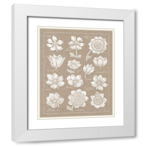 Anemone Plate I White Modern Wood Framed Art Print with Double Matting by Wild Apple Portfolio