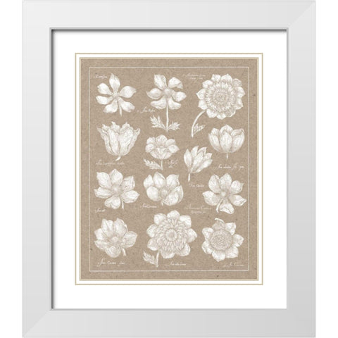Anemone Plate I White Modern Wood Framed Art Print with Double Matting by Wild Apple Portfolio