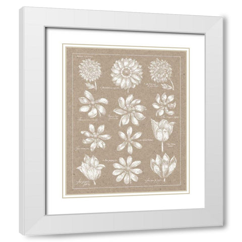 Anemone Plate II White Modern Wood Framed Art Print with Double Matting by Wild Apple Portfolio
