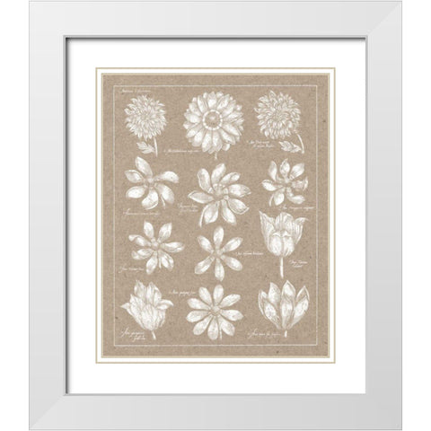 Anemone Plate II White Modern Wood Framed Art Print with Double Matting by Wild Apple Portfolio