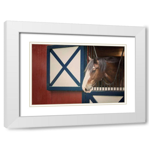 Patriotic Pony I White Modern Wood Framed Art Print with Double Matting by Urquhart, Elizabeth